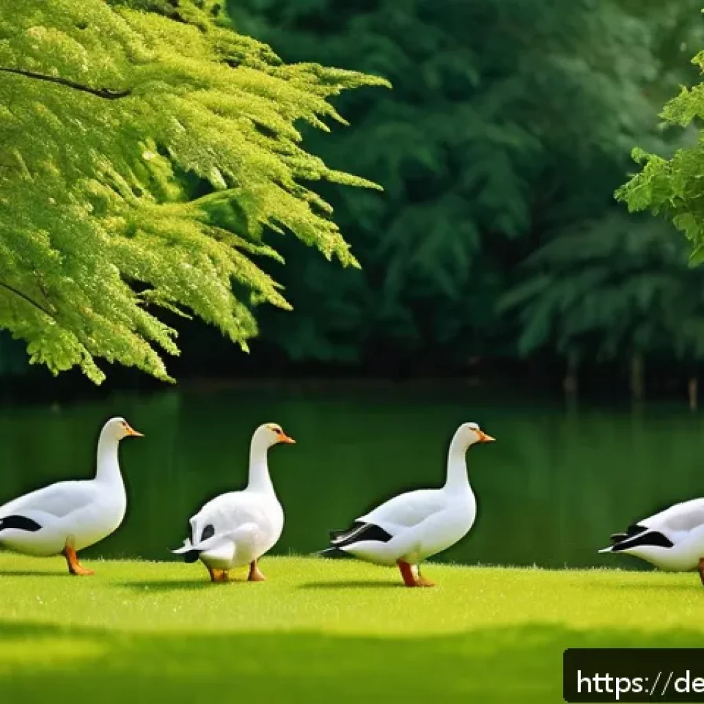 거위 사육 기초 - A serene garden scene featuring a group of five domestic geese roaming freely across a spacious 25 s...