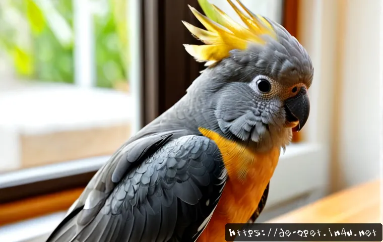 칵테일 앵무새 인기 이름 - Photorealistic close-up portrait of a cheerful cockatiel with soft grey feathers, warm peach cheek p...